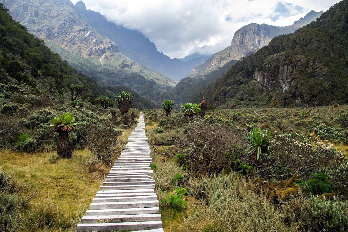 Ruwenzori Mountains